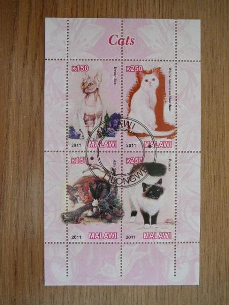 g441 Kates Malavis 2011 antsp. #