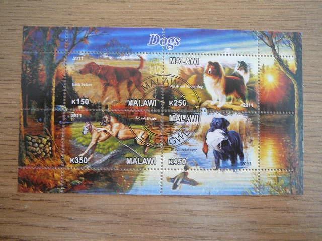 g440 Sunys Malavis 2011 antsp. #