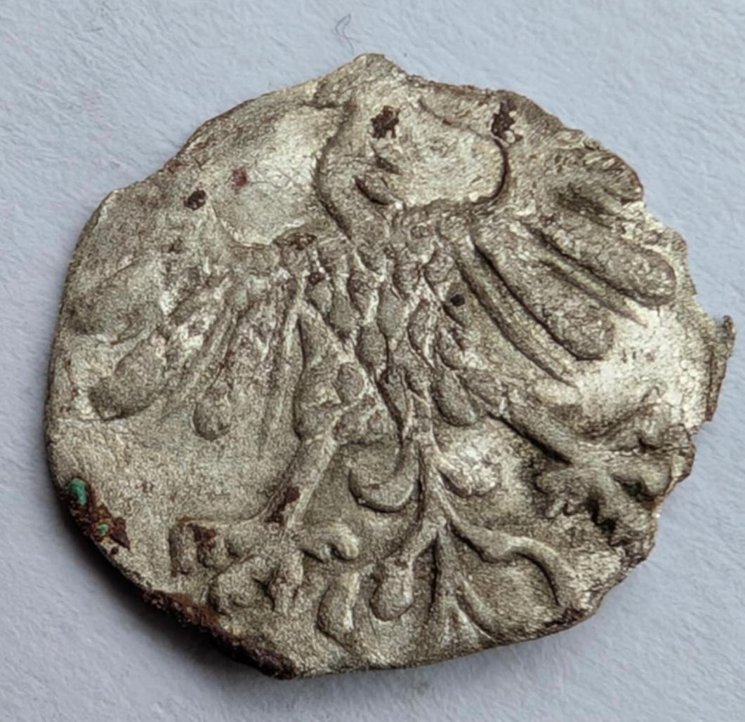 Žygimanto Augusto 1558-1559 denaras 