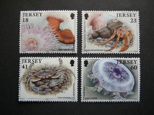 Dzersis 1994 Krabai Fauna juros svarus #