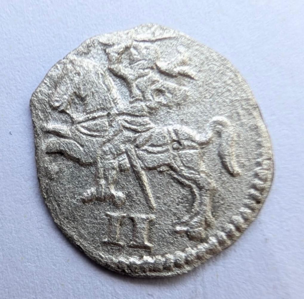Retas Žygimanto Augusto 1570 dvidenaris R P. Platina štampas 