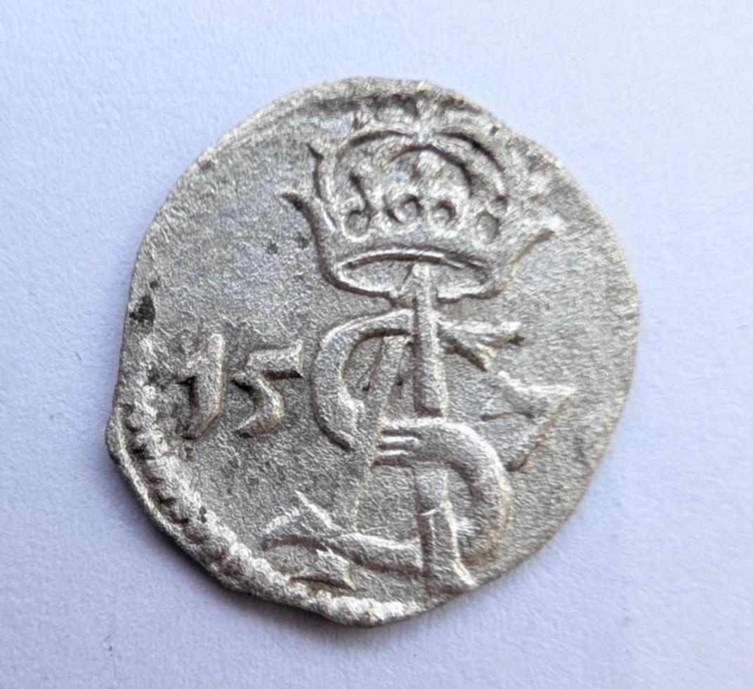 Retas Žygimanto Augusto 1570 dvidenaris R P. Platina štampas 