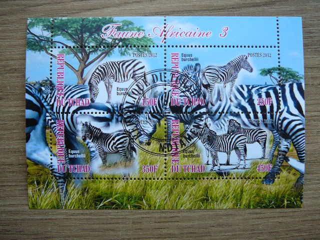 g549 Zebrai Cadas 2012 antsp.