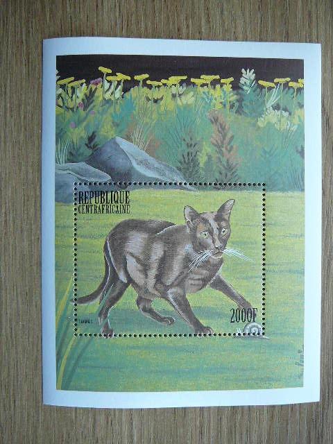 Central African Rep. 1999 Kates MNH #