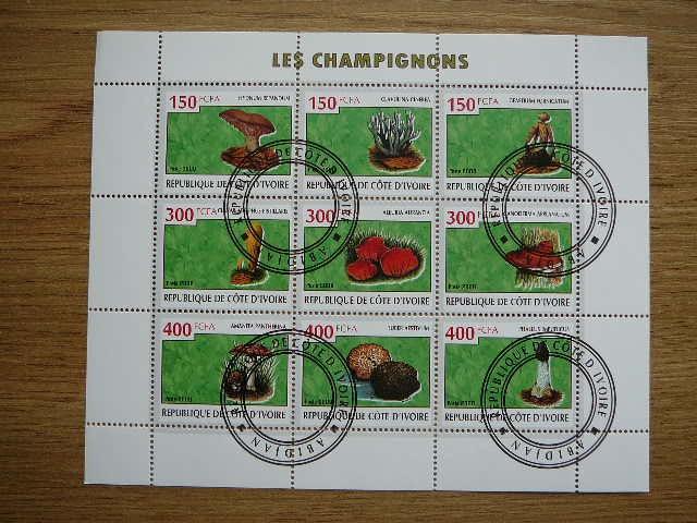 s459 Grybai Ivory Coast 2009 antsp. #