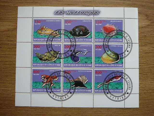s461 Kriaukles Moliuskai Ivory Coast 2009 antsp. #
