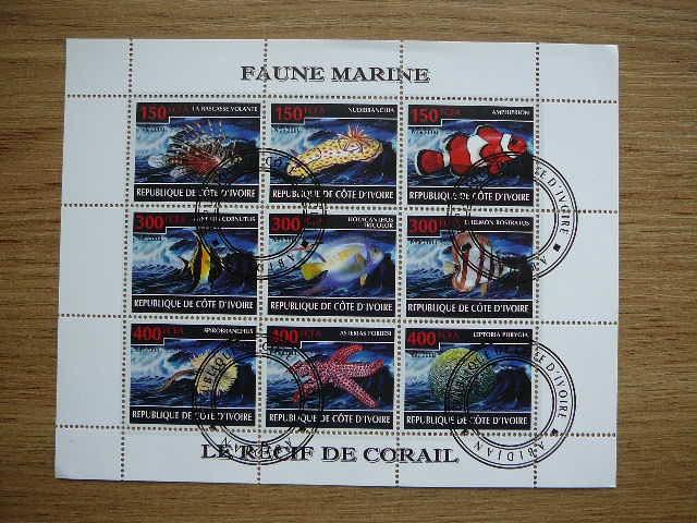 s476 Zuvys Juros fauna Ivory Coast 2009 antsp. #