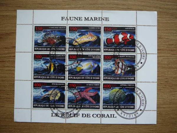s476 Zuvys Juros fauna Ivory Coast 2009 antsp. #
