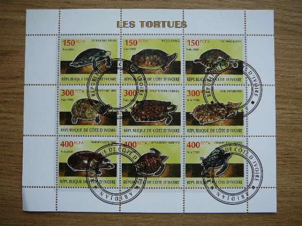 s480 Vezliai Ropliai Ivory Coast 2009 antsp. #