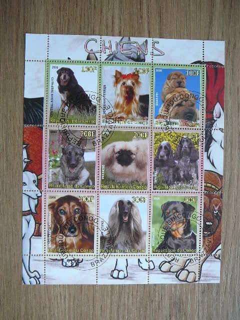 s298 Sunys Kongas 2008 antsp. #