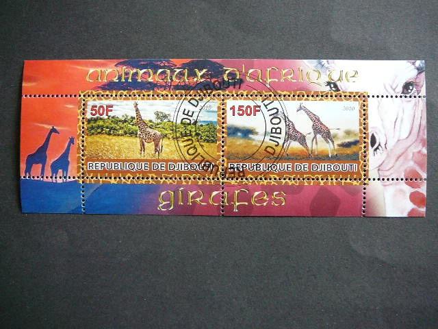 s797 Zirafos Dzibutis 2010 antsp. #