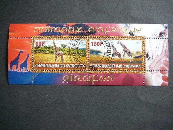s797 Zirafos Dzibutis 2010 antsp. #