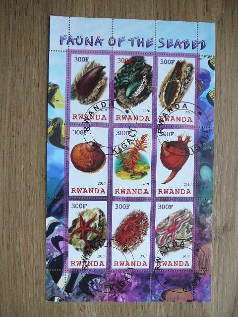 s768 Kriaukles Juros fauna Ruanda 2010 antsp. #