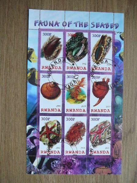 s768 Kriaukles Juros fauna Ruanda 2010 antsp. #