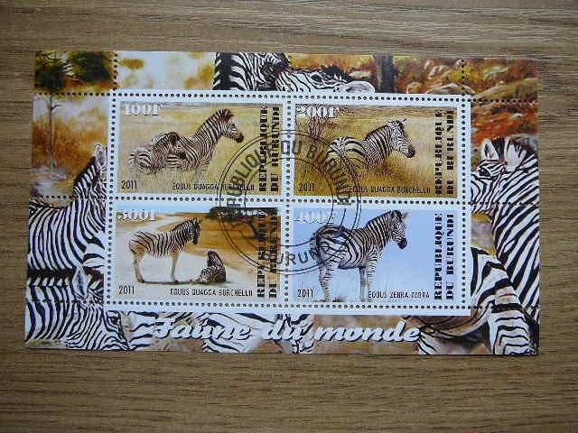 j220 Zebrai Burundis 2011 antsp. #