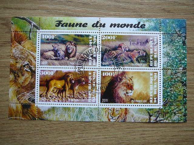 j221 LiutaI Kates laukines Burundis 2011 antsp. #