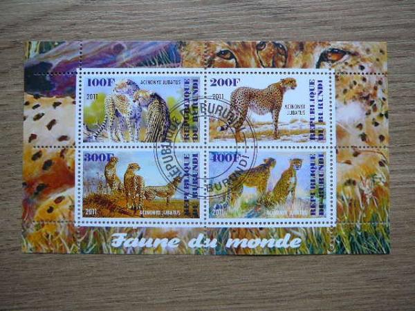 j210 Gepardai Kates laukines Burundis 2011 antsp.