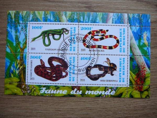 j217 Gyvates Burundis 2011 antsp. #