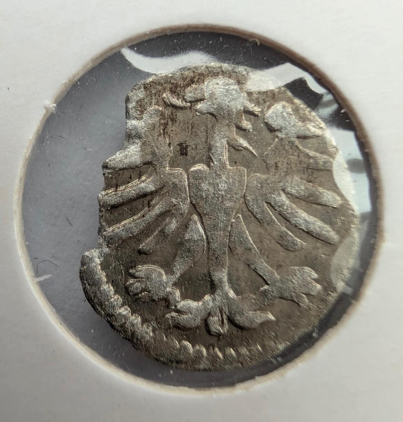 Aleksandro Jogailaičio denaras 1495-1506