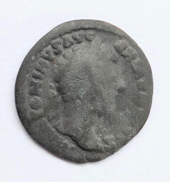 Roma