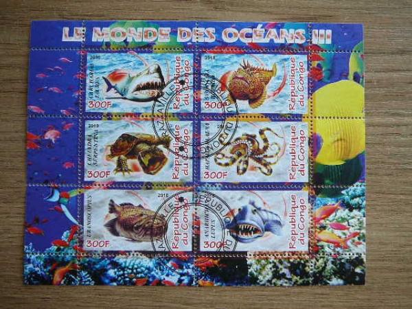 s822 Zuvys Juros fauna Kongas 2010 antsp. #