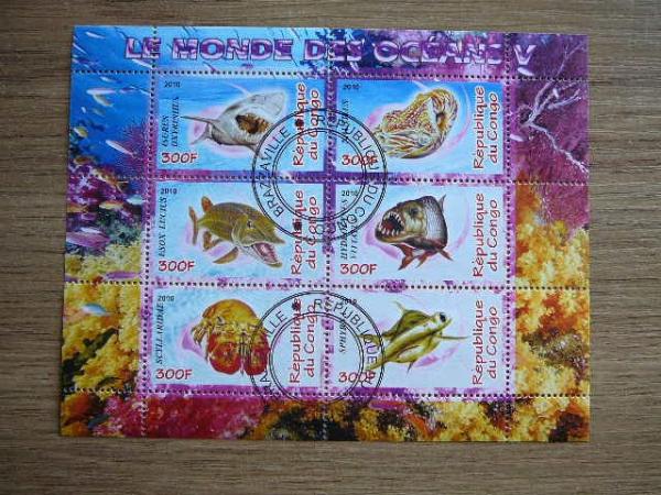 s824 Zuvys Juros fauna Kongas 2010 antsp. # 