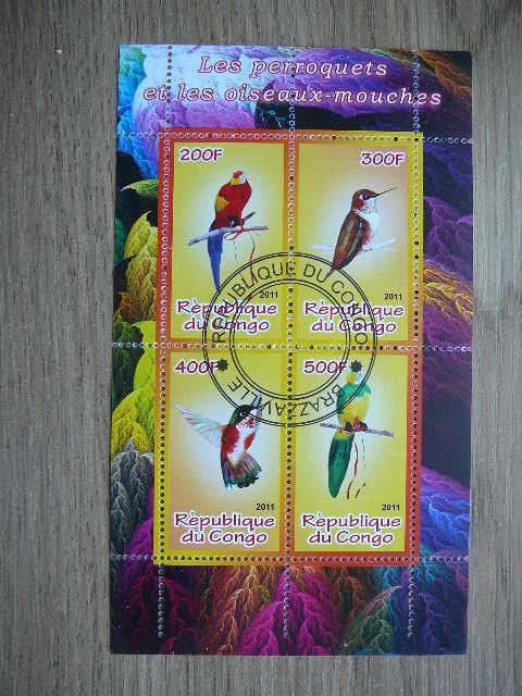 s900 Papugos Kolibriai Kongas 2011 antsp. # 