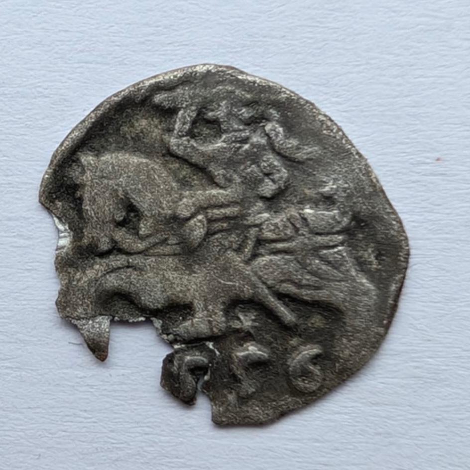 Žygimanto Augusto 1556 denaras