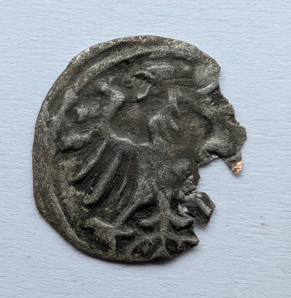 Žygimanto Augusto 1556 denaras