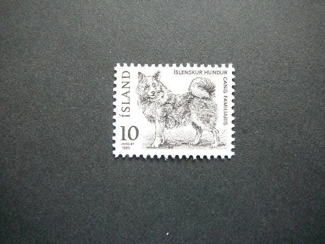 Islandija 1980 Sunys svarus