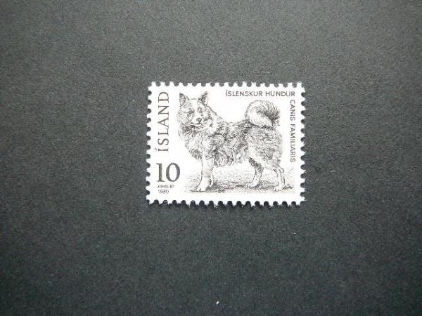 Islandija 1980 Sunys svarus