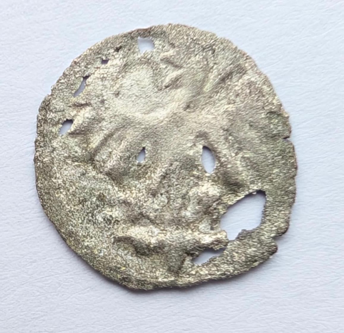 Jono Albrechto 1492-1501 denaras