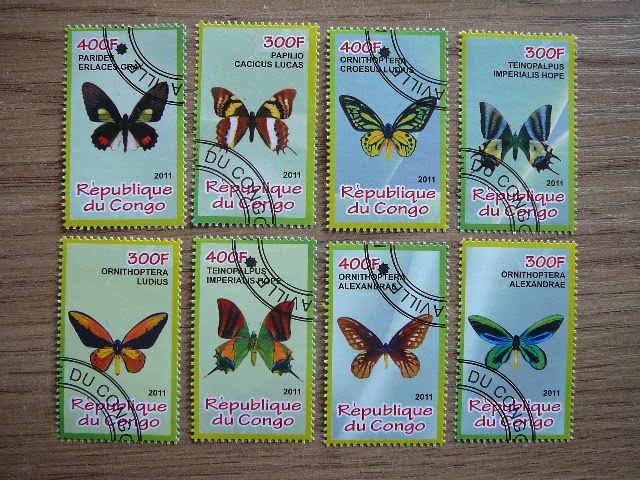 s902 Drugeliai Kongas 2011 antsp. #