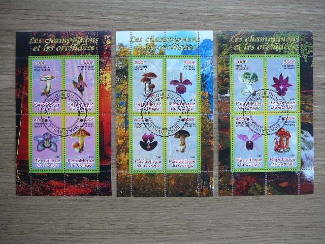 s909/1 Grybai Orchidejos Geles Kongas 2011 antsp. #