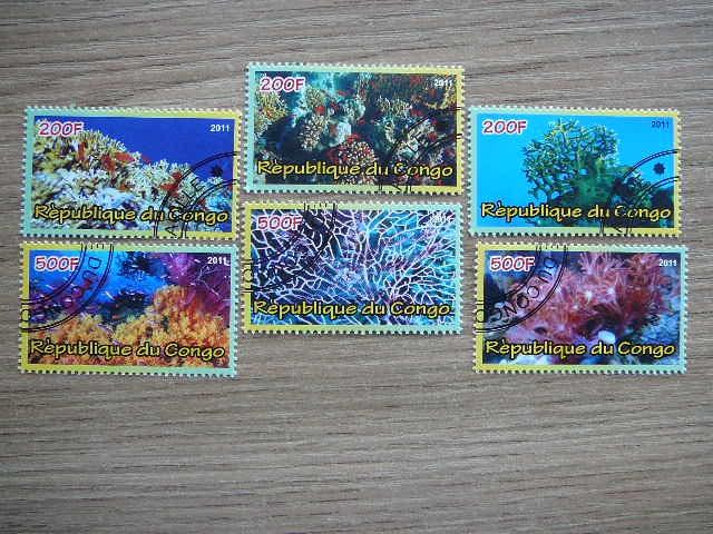 s912 Koralai Kongas 2011 antsp. #