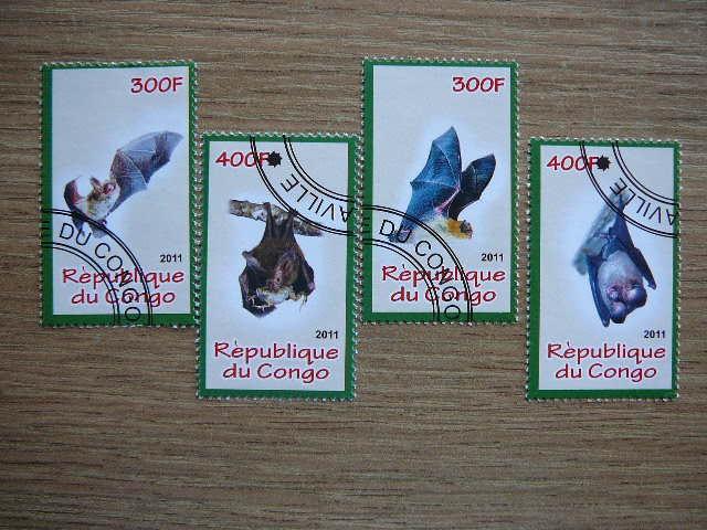s915 Siksnosparniai Kongas 2011 antsp. #