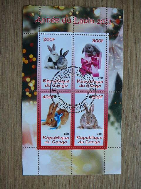 s917 Kiskiai Kongas 2011 antsp. #