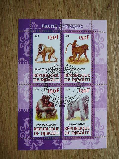 s966 Bezdziones Dzibutis 2011 antsp. #