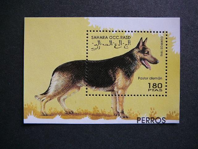 Sahara 1995 Sunys MNH # 