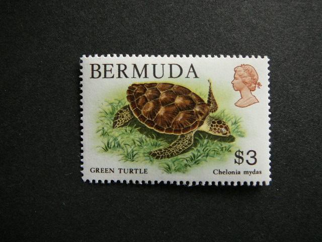 Bermudai 1986 Vezliai svarus #