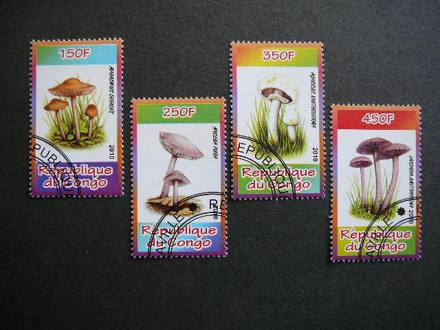 s604 Grybai Kongas 2010 antsp. #g