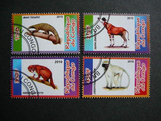 s601 Zverys Bezdziones Kongas 2010 antsp. #