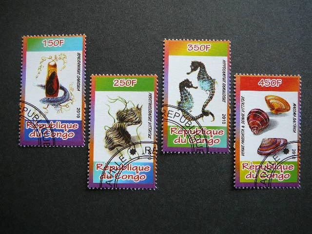 s598 Kriaukles Juros fauna Kongas 2010 antsp. #k