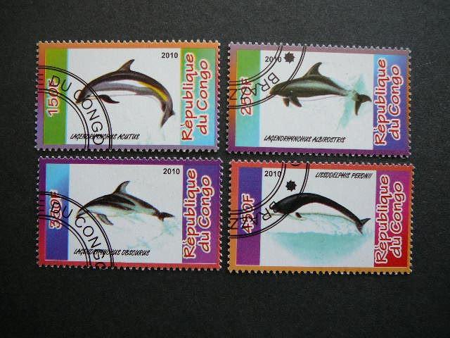 s597 Delfinai Kongas 2010 antsp #