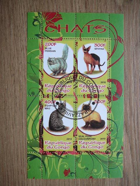 s774 Kates Kongas 2010 antsp. #