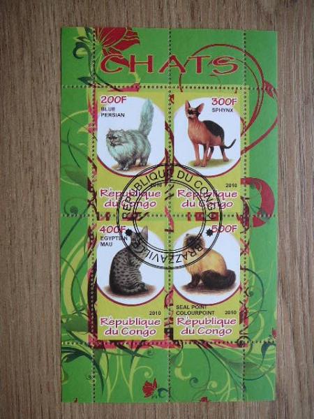 s774 Kates Kongas 2010 antsp. #