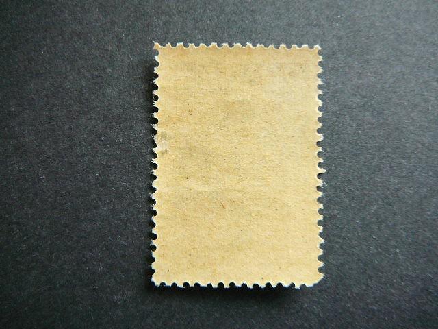 Lenkija 1947 Raudonas Kryzius MNH #471