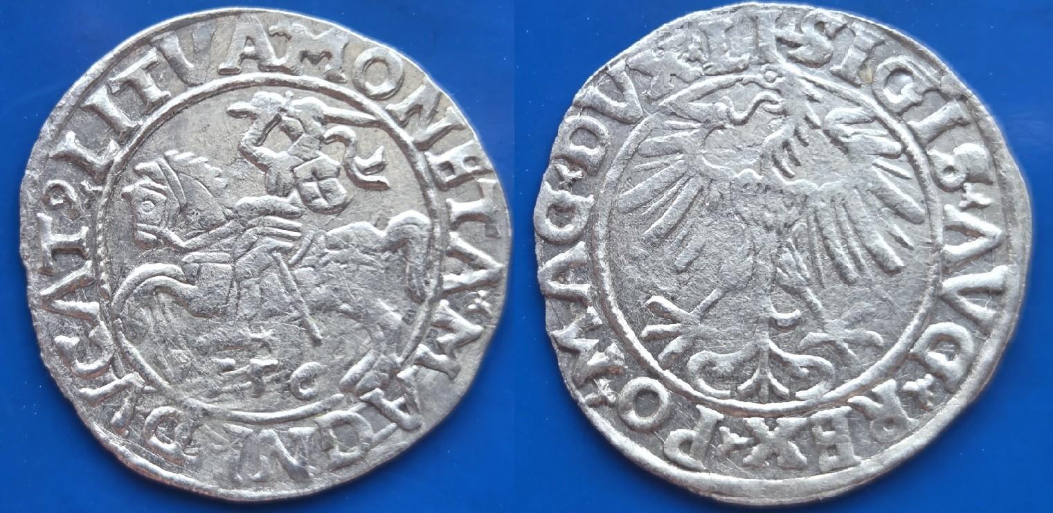 LDK - Ž.Augusto 1556 m. pusgrašis