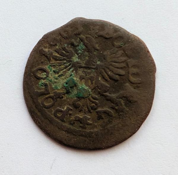 Jono Kazimiero 1663 šilingas 