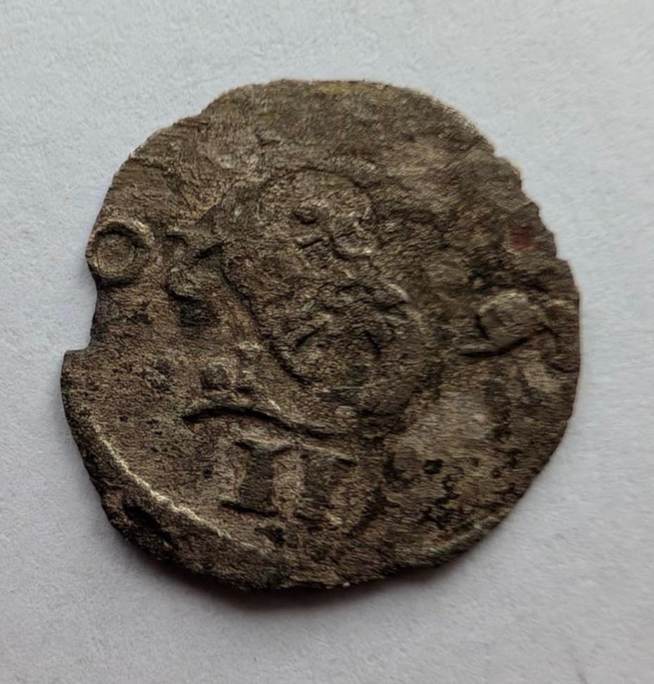 Labai retas Žygimanto Vazos 1620 dvidenaris